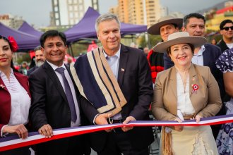 WhatsApp Image 2025-09-17 at 20.17.08 (2).jpeg